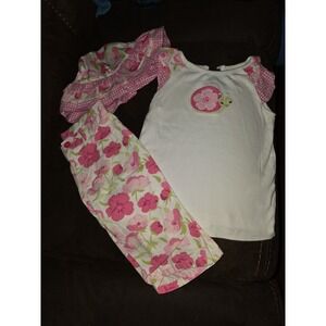 Gymboree fairy garden hat 4t 5t snail top 5t capris size 5 Easter outfit